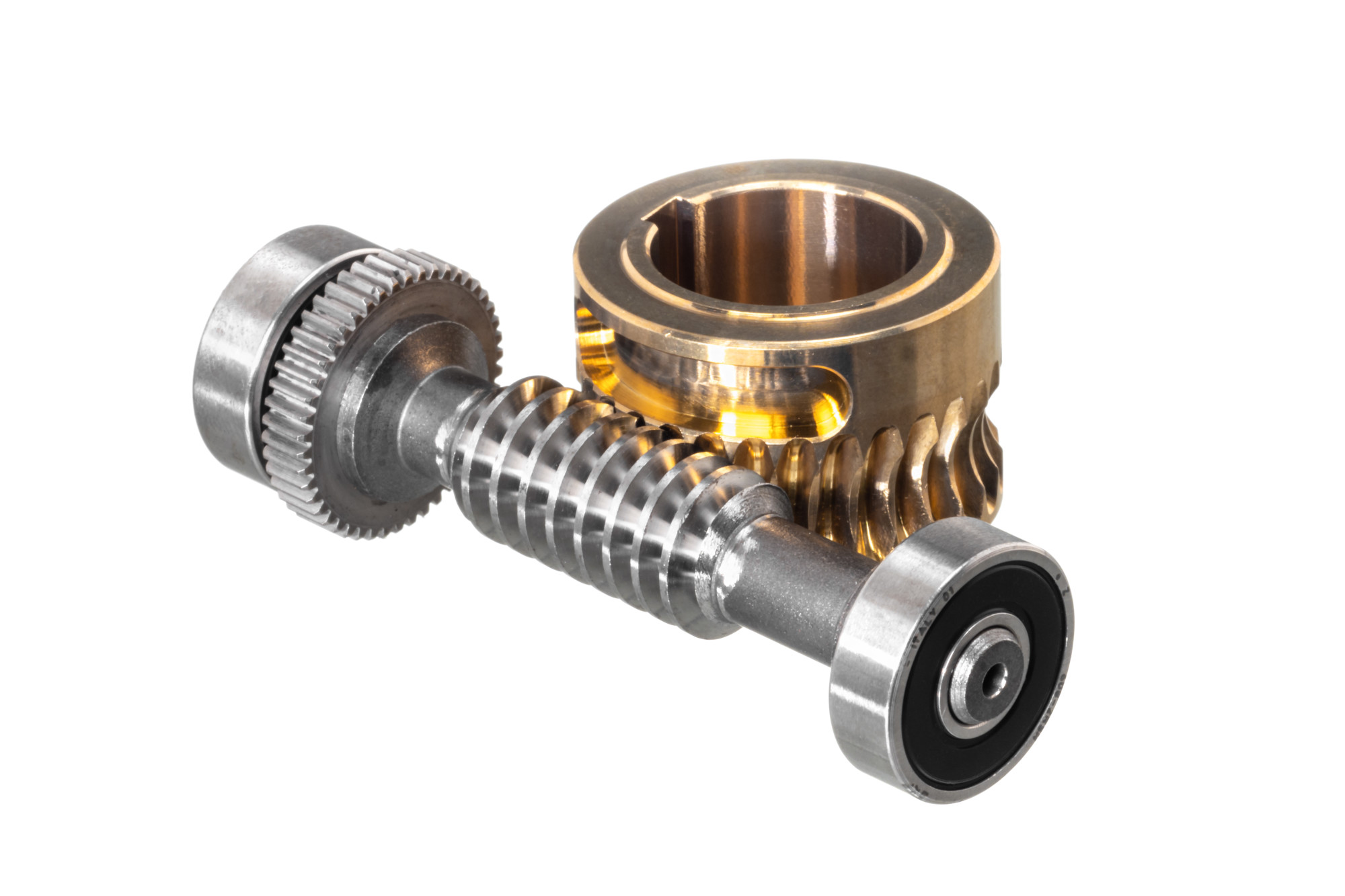 Worm gear